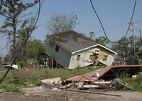 Katrina: the Cost of Growth Over Environment