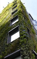 Green Hotels, Green Rooms….& Green Walls?
