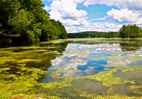 Farm Runoff Brings Toxic Algae to Once-Pristine Ohio Lake