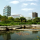 Urban Wetlands: Using Mother Nature to Clean Up After People