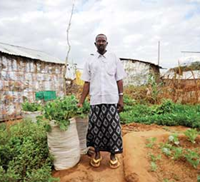 Urban Farmers May Yet Feed Africa