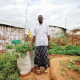 Urban Farmers May Yet Feed Africa