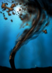 dreamstime_15356956