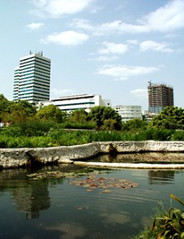 urban wetland